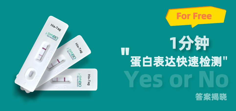 限量领取 | 泓迅生物ProXpress蛋白快速检测卡,1分钟验证蛋白表达
