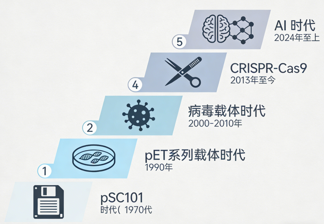 载体那些事儿:解析载体技术革新轨迹