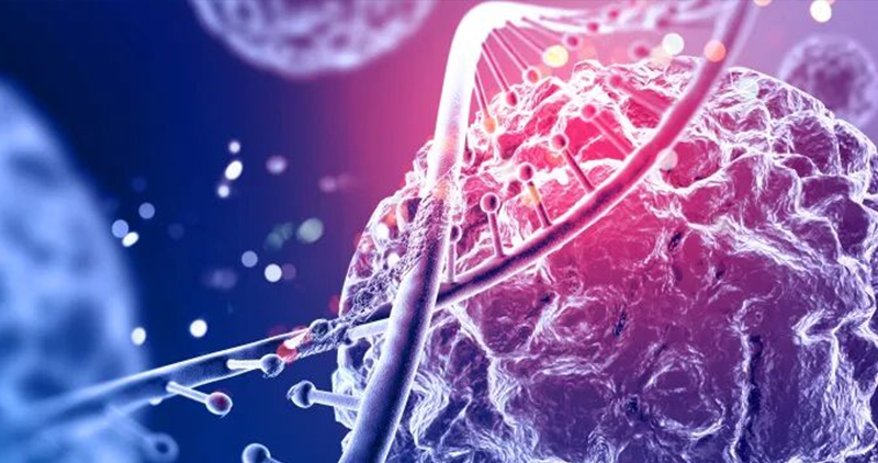 核酸适配体—如何成为分子识别的“利器”?