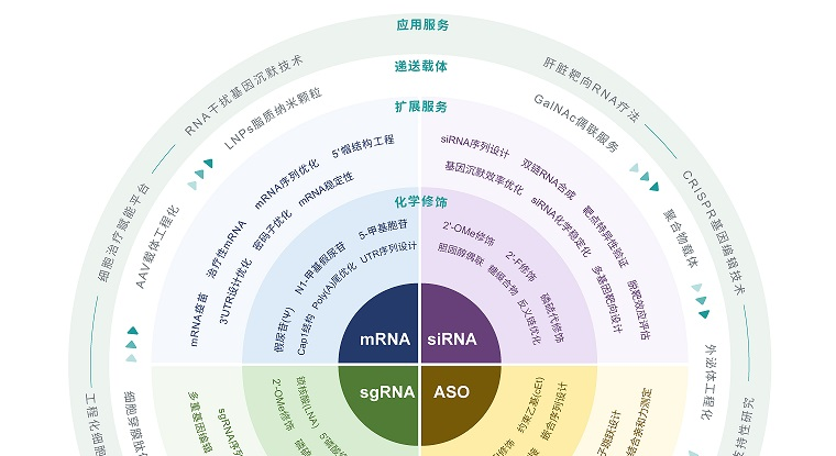 RNA 那些事儿 | 合成生物学时代再看RNA