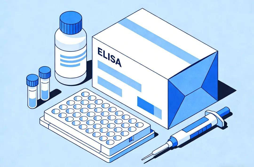 精准定量,一步到位——ELISA试剂盒定制开发服务全新上线