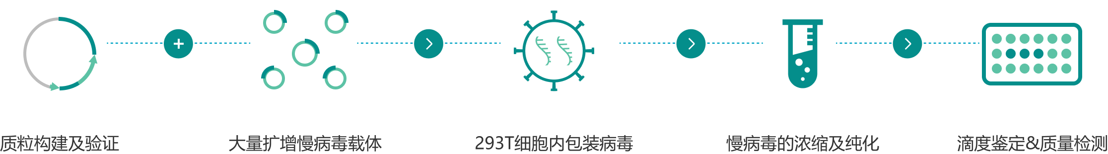 慢病毒包装_流程图